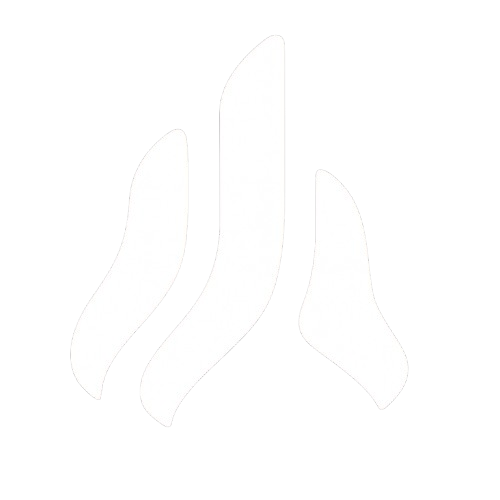 Aurora Roleplay Logo